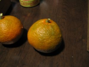 謎の柑橘類
